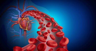 Cardiovascular concept