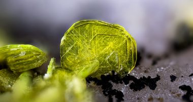 Uranium