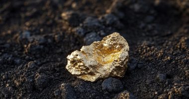 Gold nugget