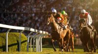 Horse racing