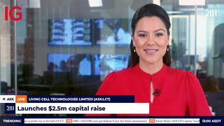 The Market Online Video