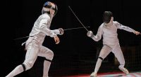 Fencing fight concept