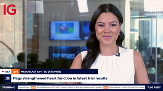 The Market Online Video