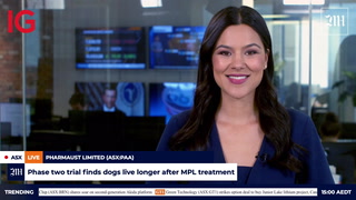 The Market Online Video
