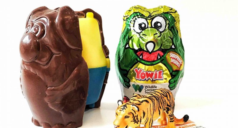 Yowie chocolate